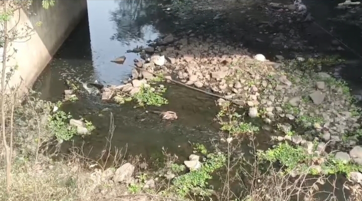 पुलिया के नीचे एक ब्यक्ति की मिली लाश, इलाके में फैली सनसनी, लोगों की भारी भीड़